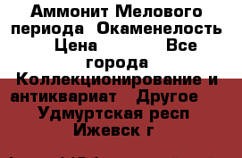 Аммонит Мелового периода. Окаменелость. › Цена ­ 2 800 - Все города Коллекционирование и антиквариат » Другое   . Удмуртская респ.,Ижевск г.